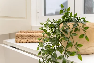 Bonjardim City Flats - Garden Views