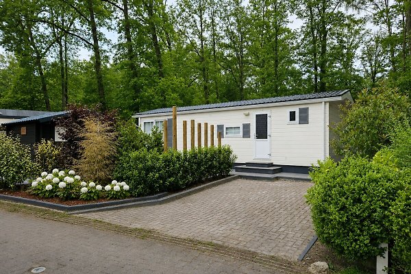 Ferienhaus Tubbergen