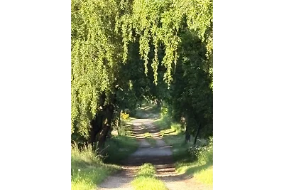 FeWo " Am Wald "