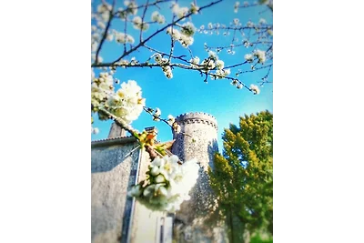 Chateau Le Juge