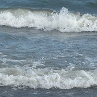 obitelj D. Thiesen/Wischnewsky