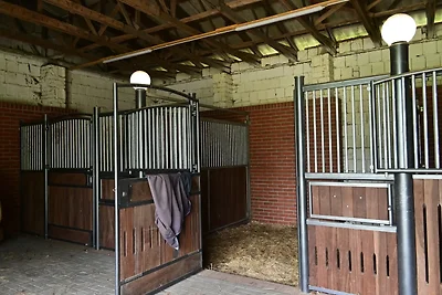 Landhof Groß Breese FeWo 4 Personen