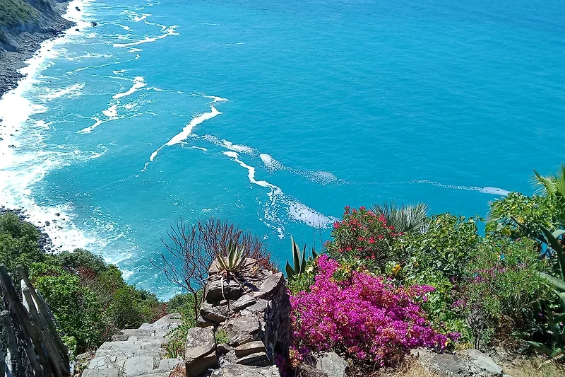Wenn Sie möchten, stellen wir Ihnen den weniger bekannten Cinque Terre Park vor.