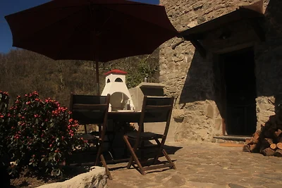 Il Tempo Lento