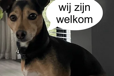 Egmonds vakantiehuis Duin