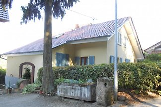 FeWo Schaub