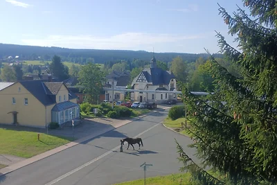 OK-FERIEN UG