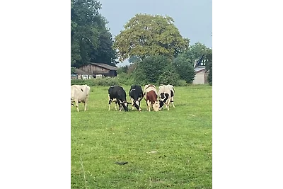 Garfelner Ferienhäuschen