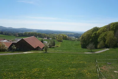 Ferienwohnung Köck