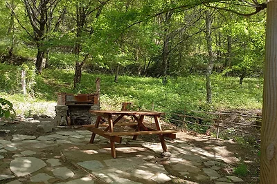 Nel bosco