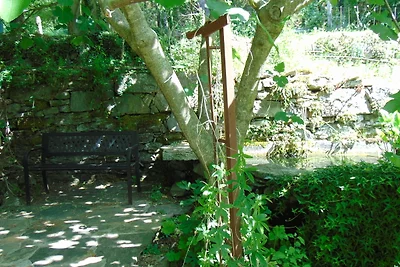Nel bosco