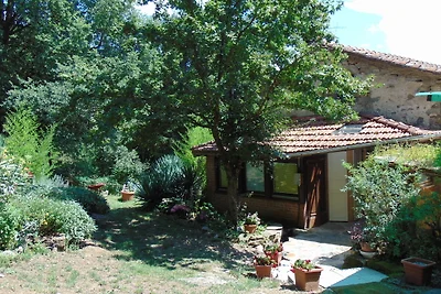 Nel bosco