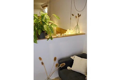 Mi Casa