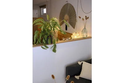 Mi Casa