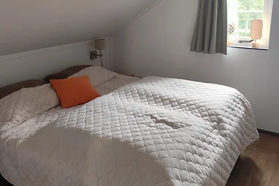 Kleine Zeeschelp