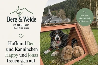 Berg und Weide