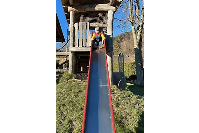 Berg und Weide