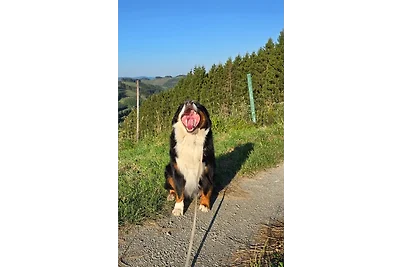 Berg und Weide