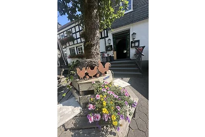 Berg und Weide