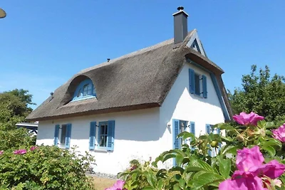 Reetdachhaus Kranich