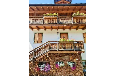 Casa dello Sportivo |  Val di Sole