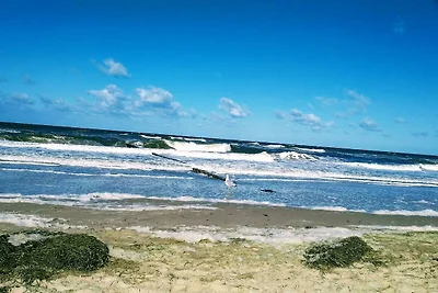 Ostseemueller