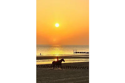 Dishoek by the beach