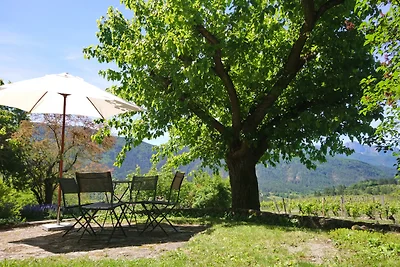 Ferienwohnung Vignoble