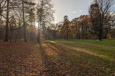 Parkquartier Branitz