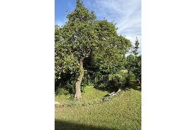 Ferienhaus Alter Apfelbaum