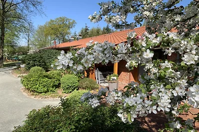 Wohnung Farkenstall