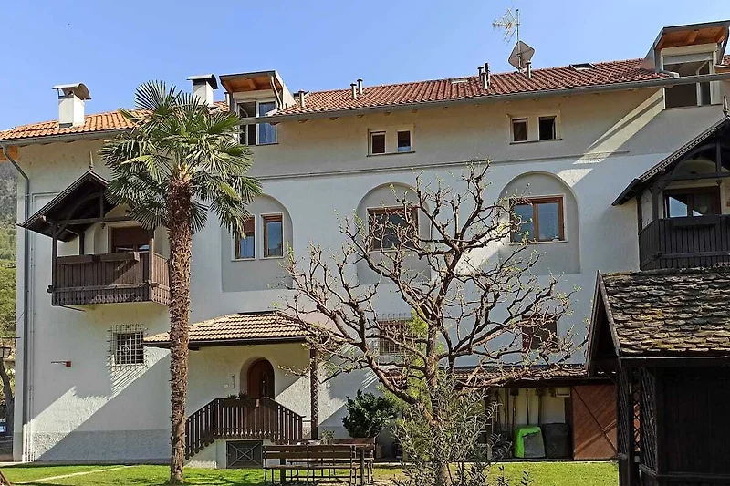 Wohnhaus in ruhiger Nachbarschaft mit klarer Architektur