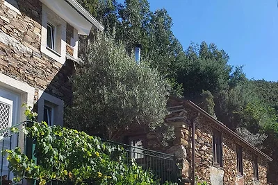 Quinta das Oliveiras