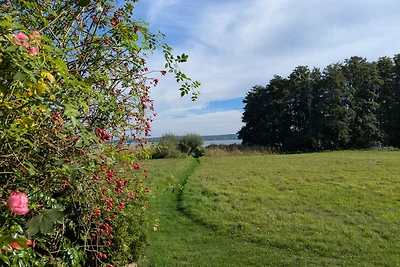 Seeblick