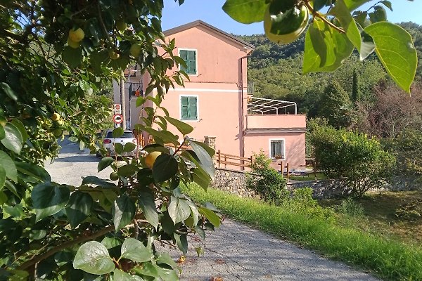 Appartamento Sestri Levante