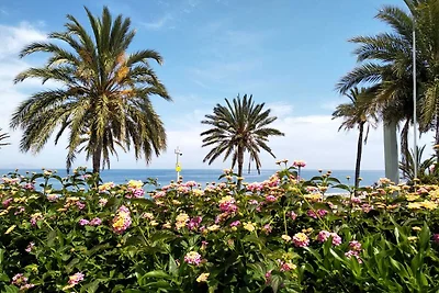 CASA TREMPNAU TROPICAL