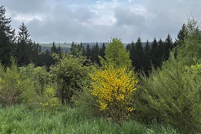 Eifel[aus]zeit