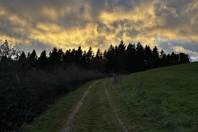 Eifel[aus]zeit
