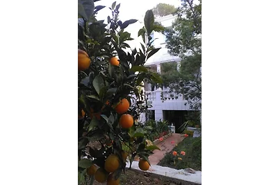 Villa Marie