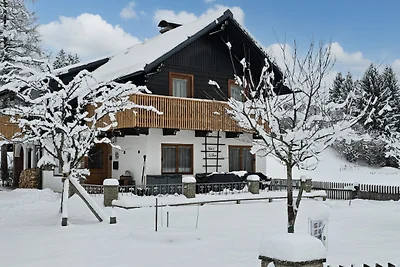 Ferienhaus DaPfusterer