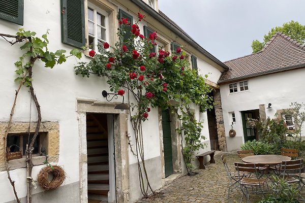 Ferienhaus Gimmeldingen