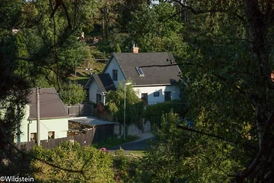 Casa di vacanza Wildstein