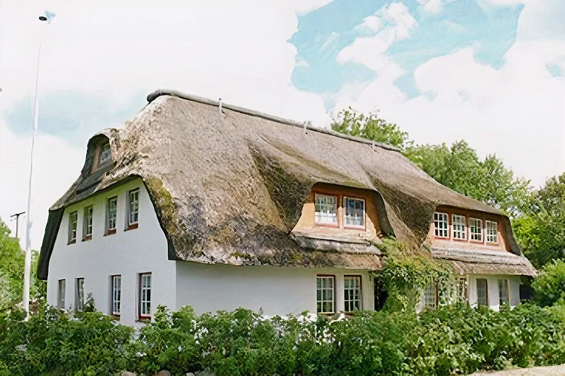 Verzorgd rieten dak huis