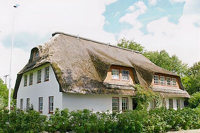 Ferienwohnung Am Mühlendeich