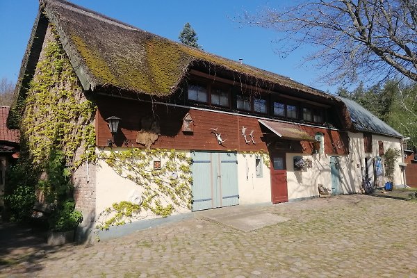 Ferienwohnung Ahlbeck