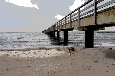 Ferienwohnung Ostsee Meerblick