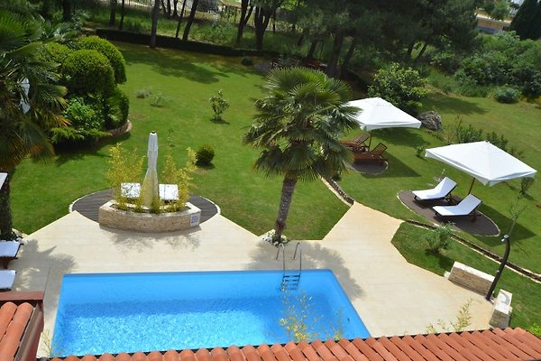 Villa Rossella 1 in Rovinj - Bild 1 Villa Rossella 1 in Rovinj - Bild 1