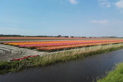 CALLANTSOOG, DE BLENCK 1