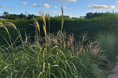 CALLANTSOOG, DE BLENCK 1
