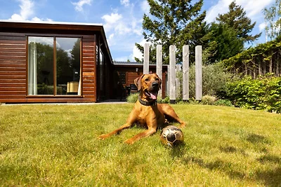 Cozy Lodge | 5 Personen